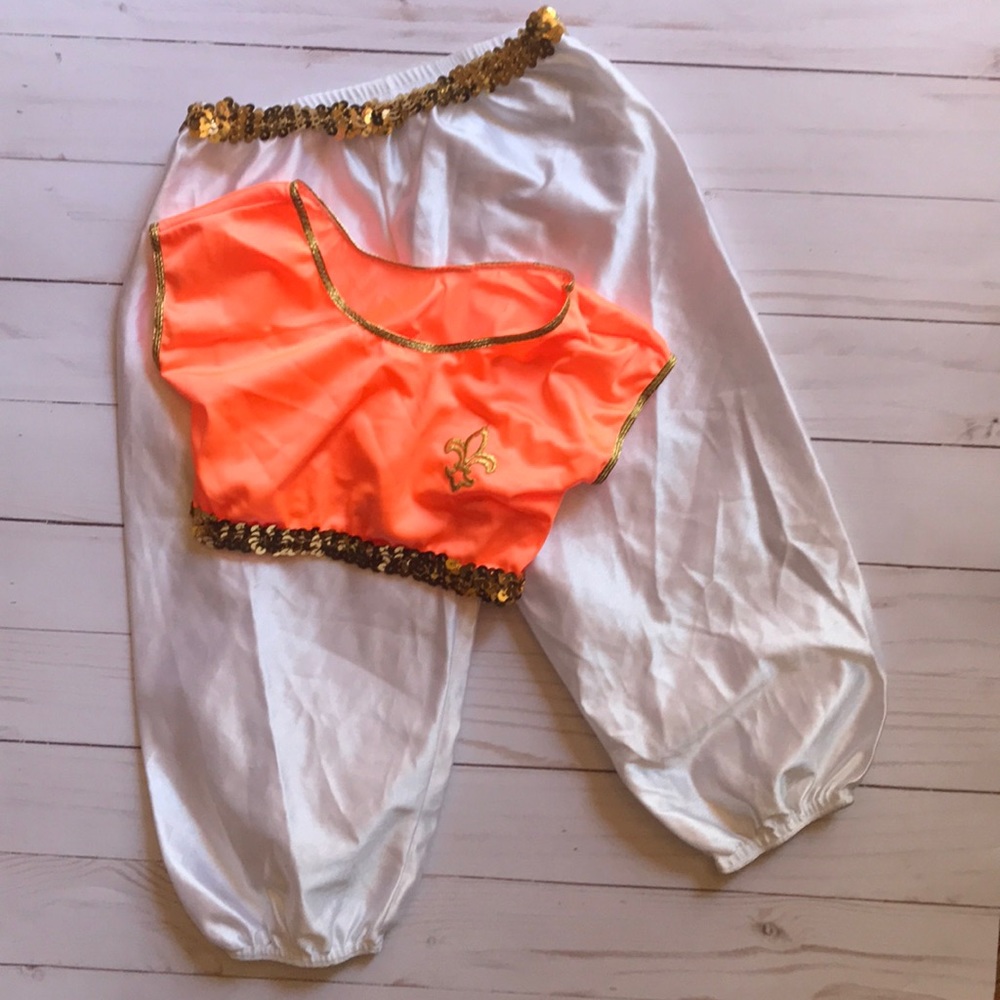 Harem Costume size 2T M13
